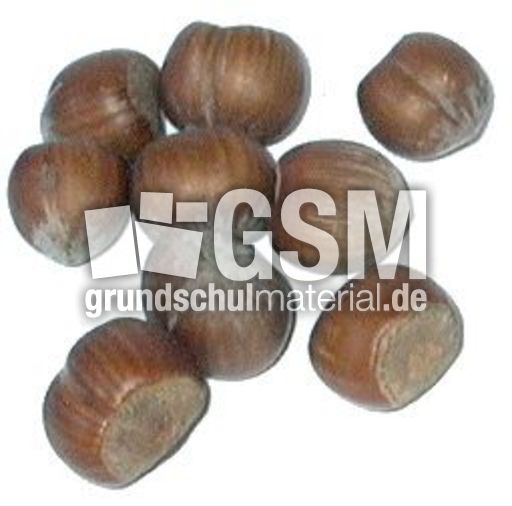 Haselnüsse-9.jpg